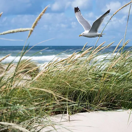 アパート In Het Zoute With Sea Views