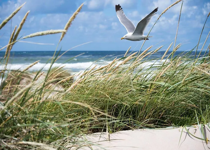 Apartment In Het Zoute With Sea Views